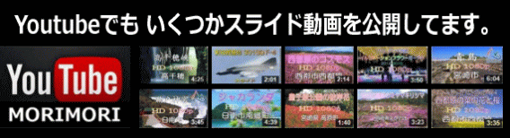 Youtube MORIMORI Youtube MORIMORI